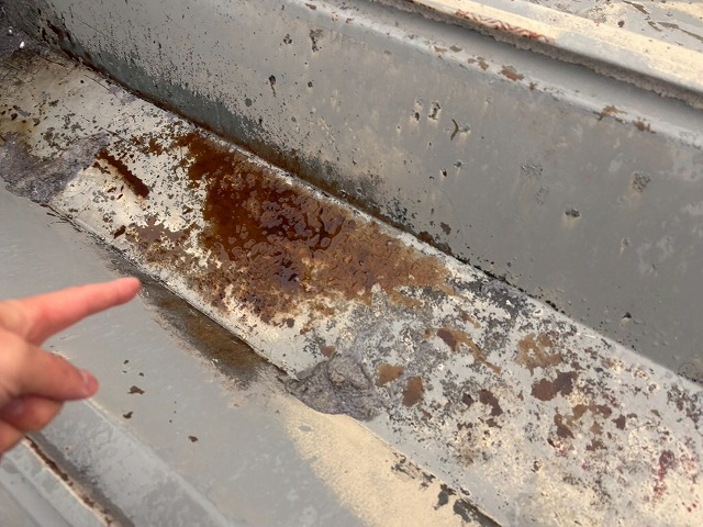 排水溝汚れ写真